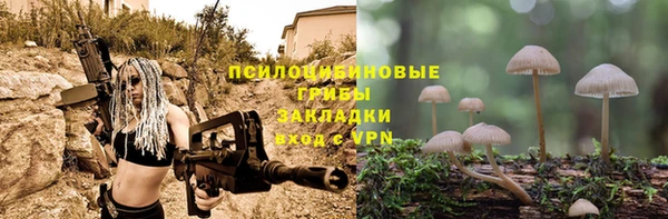 прущий лед Киреевск